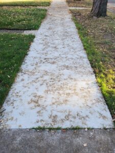 Is your sidewalk or driveway ruined from tree stains like this one? Dr. Dirts advanced pressure washing can remove any types of stains from concrete areas. Call today 317-695-2400 We service the entire Indianapolis, Indiana area.
